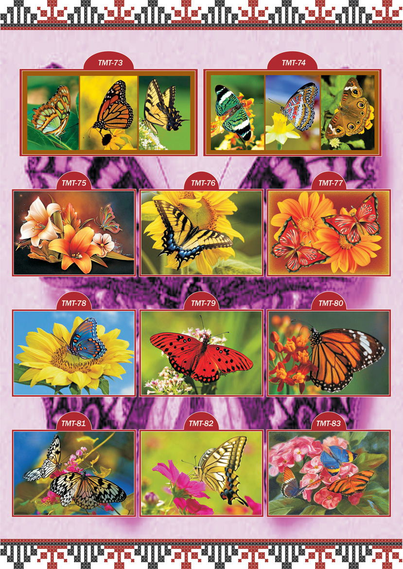 Каталог ескізів Тварини Метелики ТМТ 8